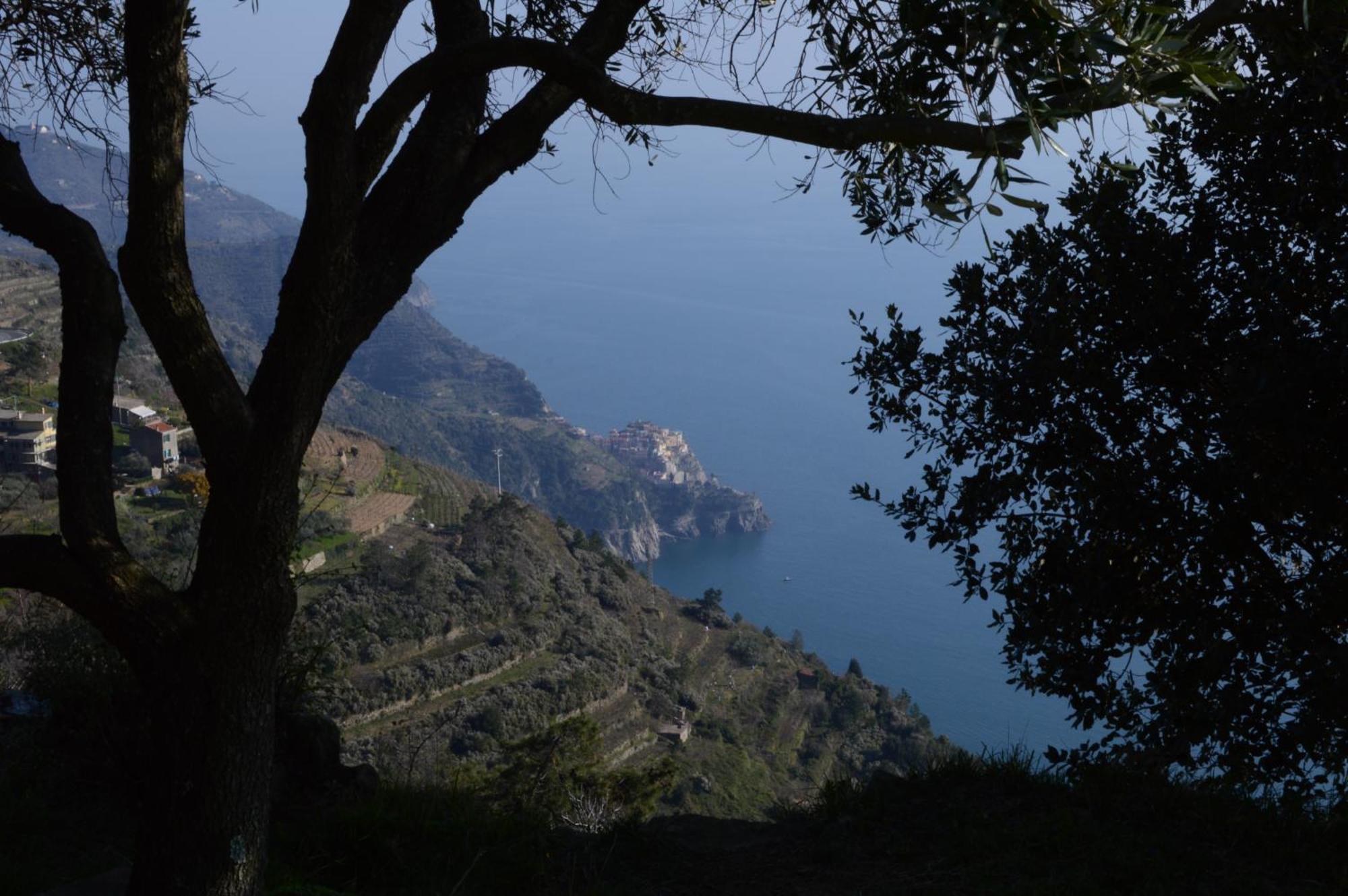 I Tre Grappoli Vila Corniglia Exterior foto