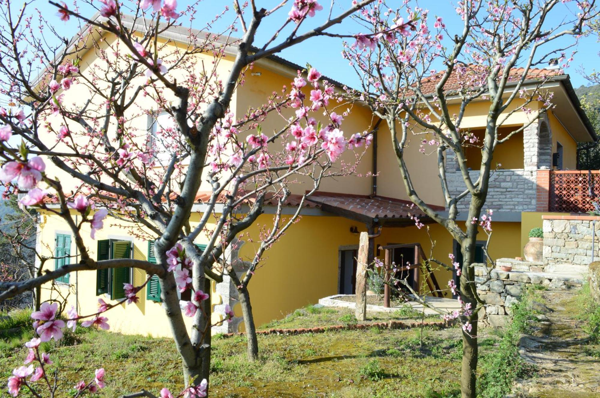 I Tre Grappoli Vila Corniglia Exterior foto