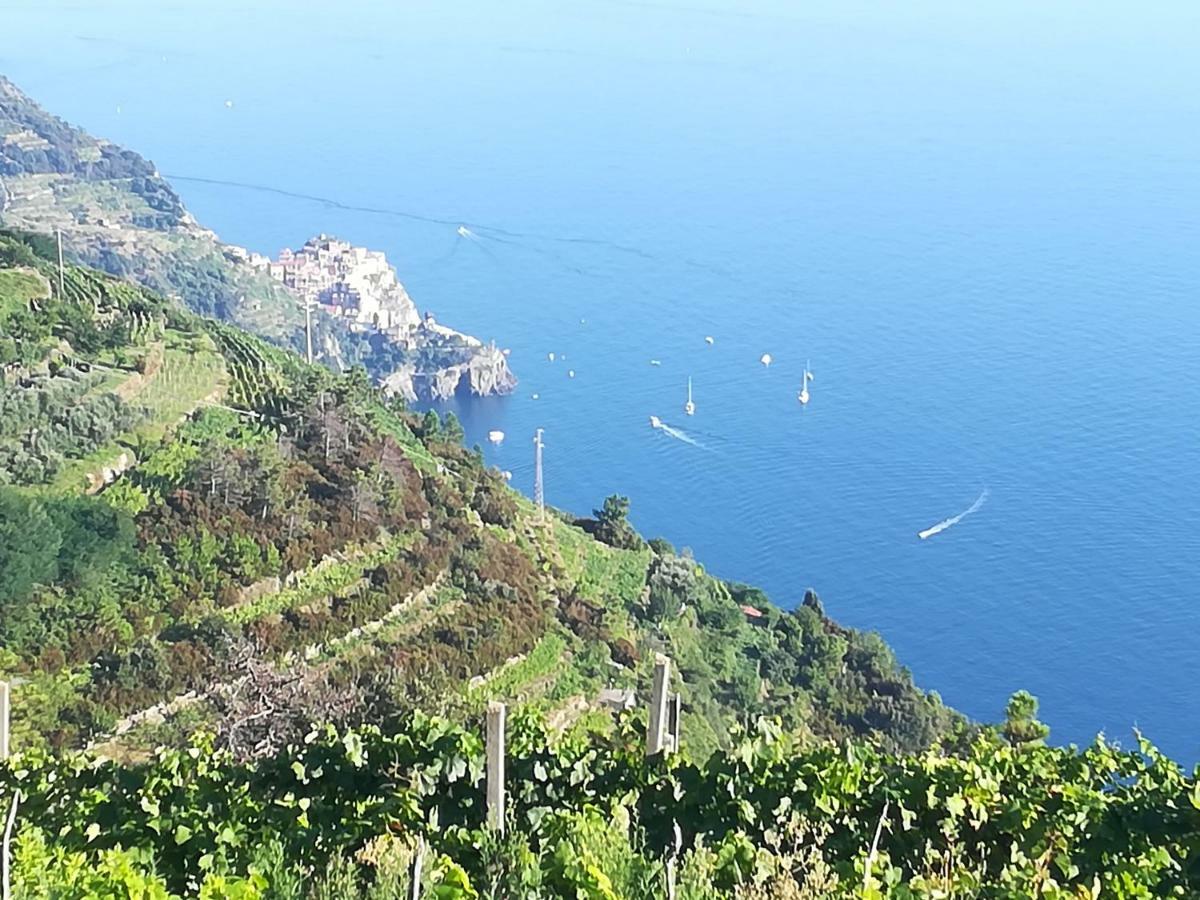 I Tre Grappoli Vila Corniglia Exterior foto